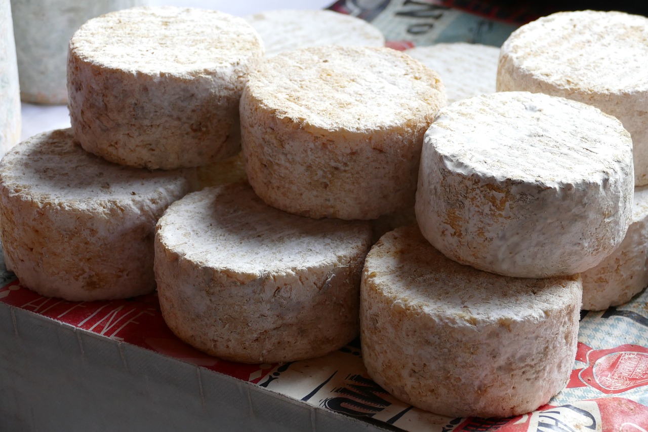 fromages-secs-etal-marche Quelques fromages de chèvre secs empilés sur deux étages en gros plan exposés sur un étal de marché