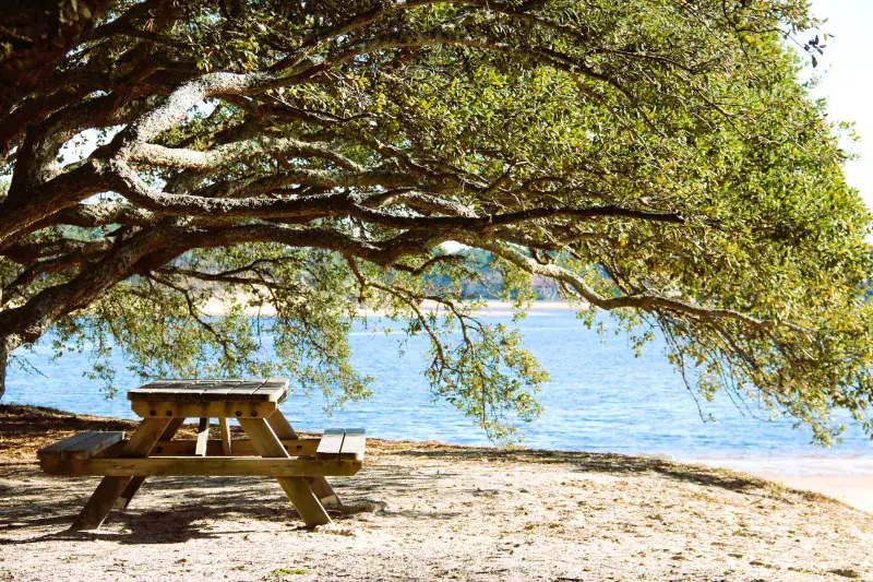 table-pique-nique-lac Une table de pique-nique en bois sous les branches d'un arbre au bord d'un lac