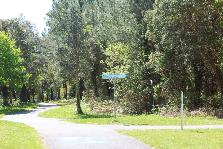 Une piste cyclable appelée voie verte invite à se promener à pied et à vélo à travers une végétation luxuriante de pins et chênes dans les Landes