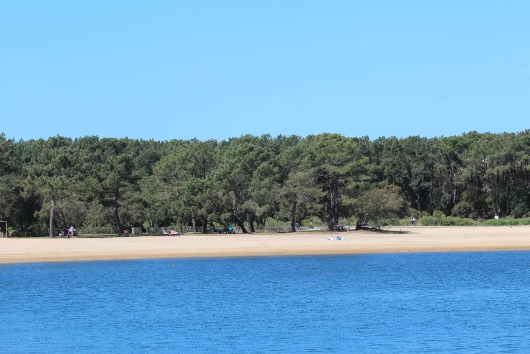 plage-sauvagine-soustons Plage "Sauvagine" du lac marin de Port d'Albret à Soustons dans les Landes avec la forêt de pins landaise à l'arrière plan